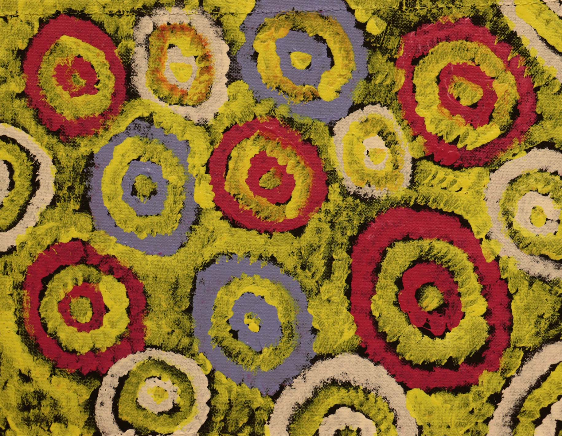 DC-S-2026-00219 by Waltja Collective