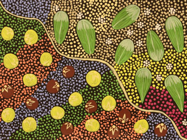 DC-L-2026-00236 by Waltja Collective