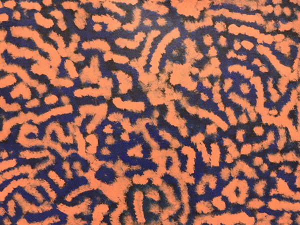 DC-L-2026-00238 by Waltja Collective