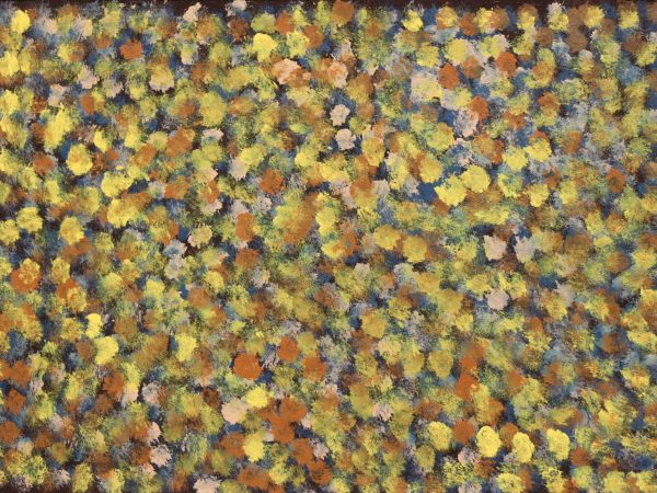 DC-L-2026-00241 by Waltja Collective