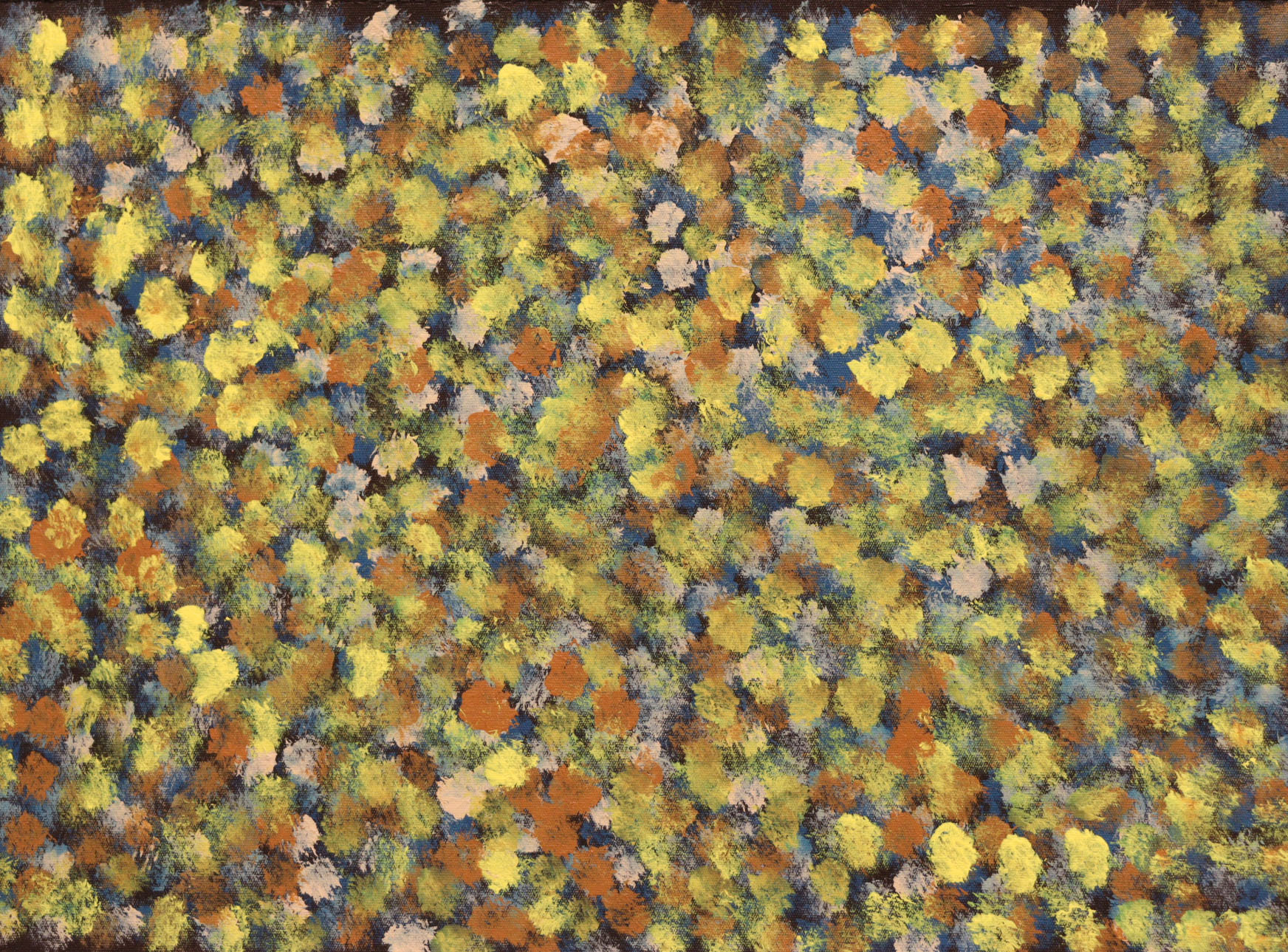 DC-L-2026-00241 by Waltja Collective