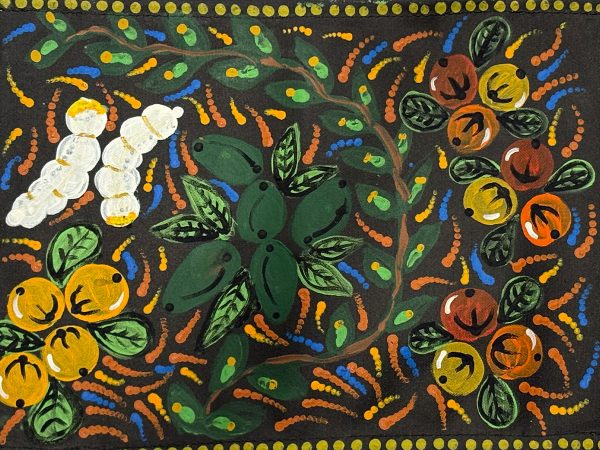 DC-S-2026-00231 Waltja Collective