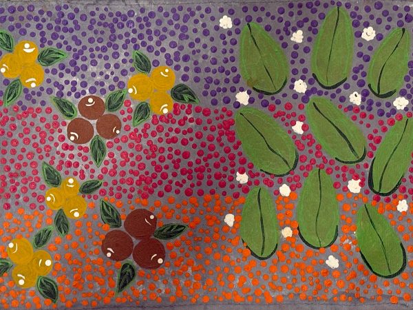 DC-S-2026-00232 Waltja Collective